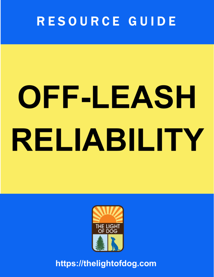Off-Leash Reliability