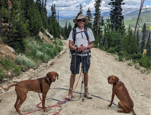 September 2023 Issue:  Spotlight on Hiking With Your Dog