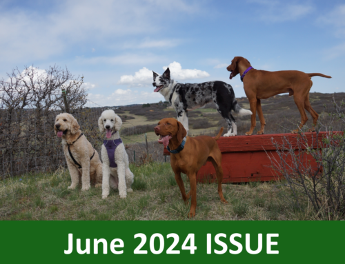 June 2024 Issue: Spotlight On Polite Greetings