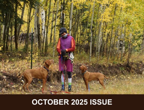 October 2025: Spotlight on off-leash reliability