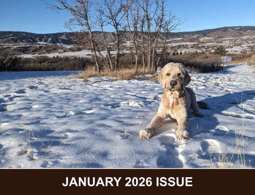 January 2026 Issue: Training – planning for the new year + taking cold weather into account