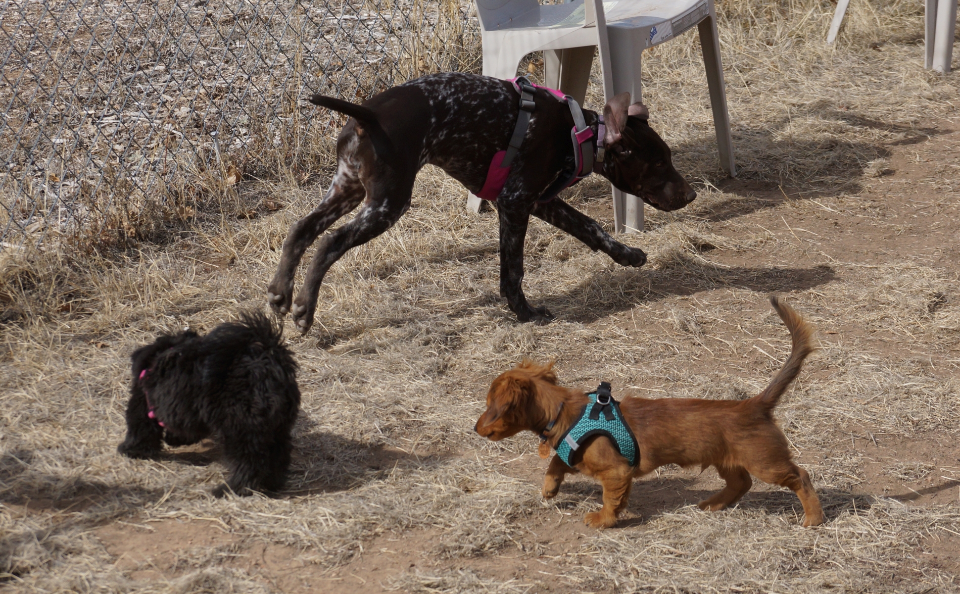 2026_03_01_Lotti_Alice_Jackson_play_DSC05515