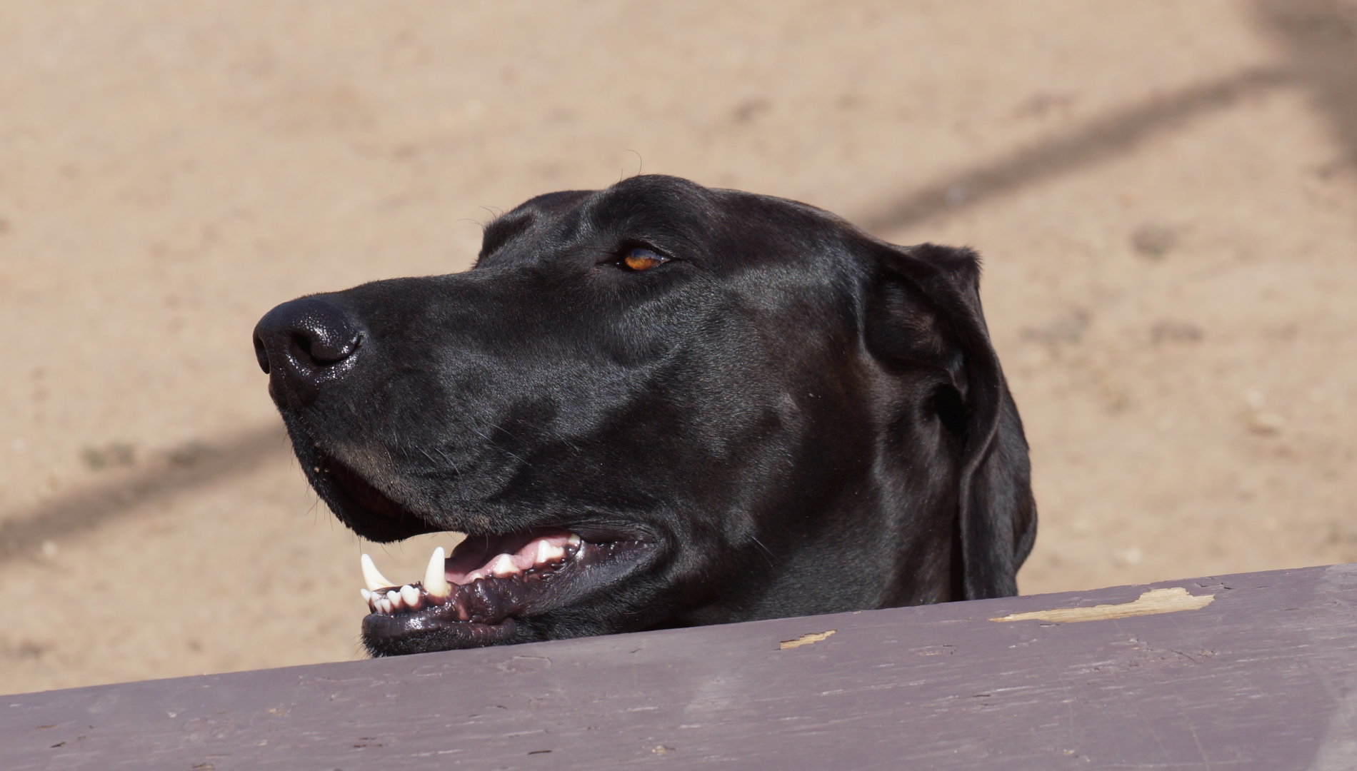 2026_03_01_Stetson_DSC05382