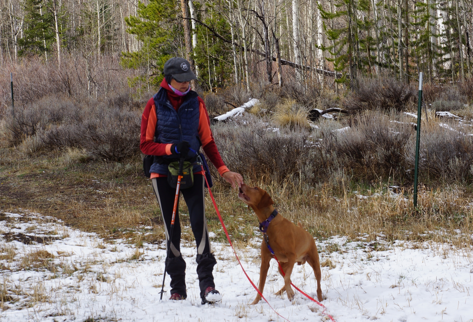 2026_04_02_Zooka_Sue_checkin_DSC06645