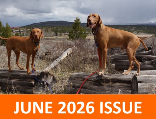 June 2026 Issue: Your Dog Has a Currency. Do You Know What It Is?